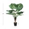 Indoor Oasis 3' Dieffenbachia Indoor Plant with Decorative Pot - Elegant Tropical Faux Greenery for Home & Office Decor - Air-Purifying, Low-Maintenance, Perfect for Living Room, Office Spaces, or Wedding Events, Floral Home by Artificial Flowers